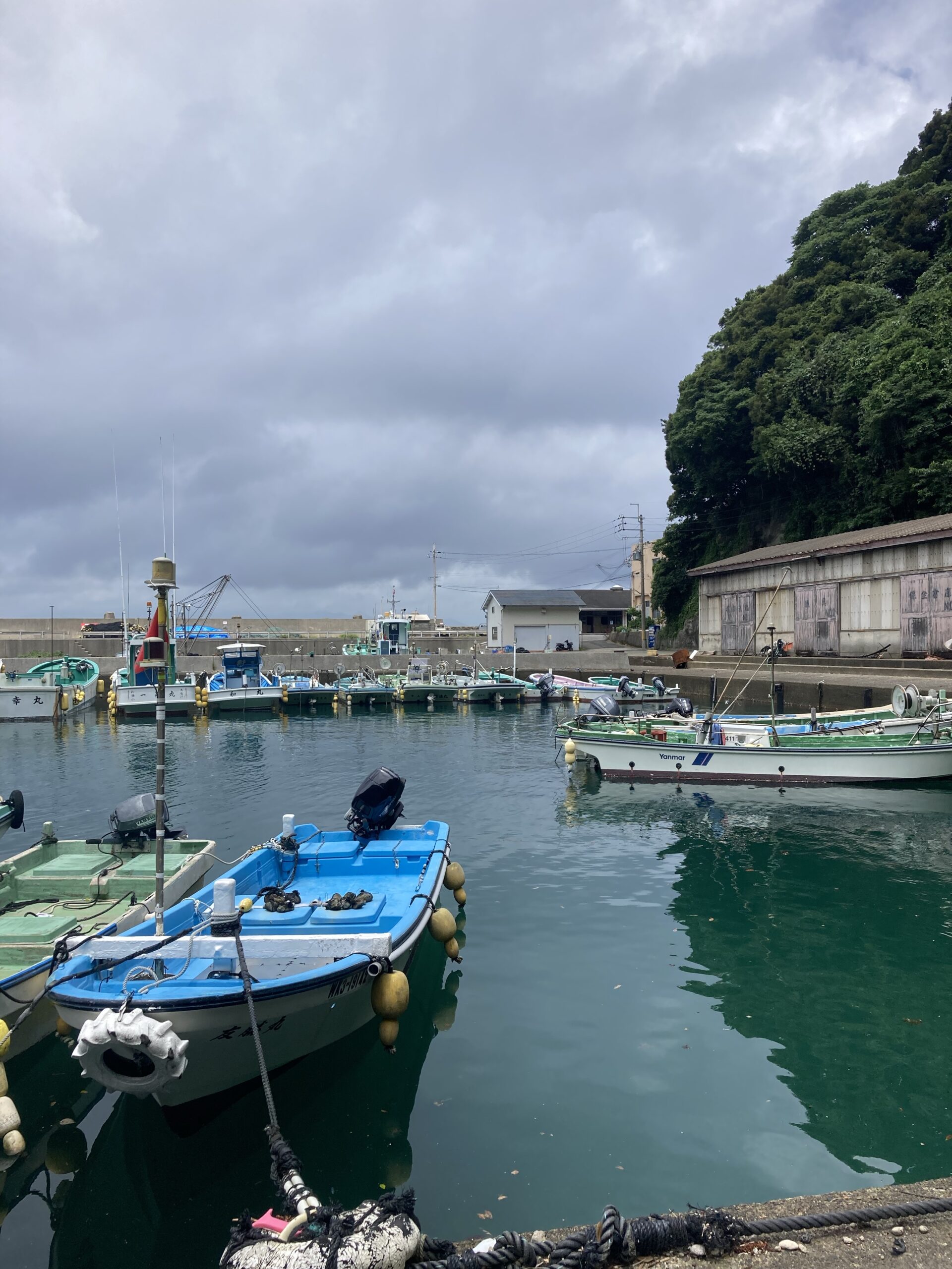  Foto zu 串本 観光 釣り 大島 民宿 大島漁港 